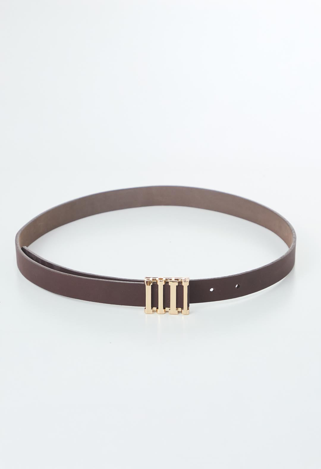 Cinturón café con chapa